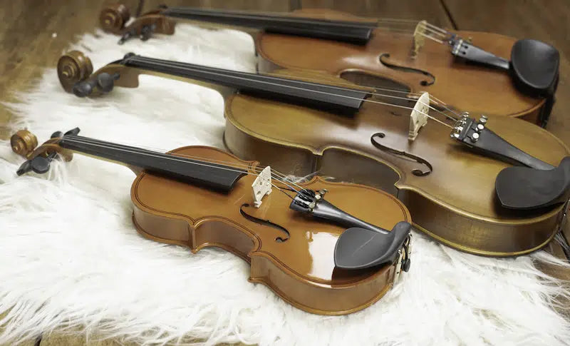 Kich Co Violin