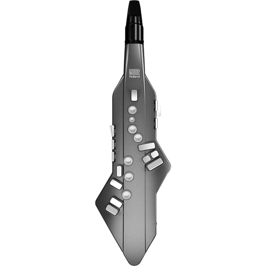 Kèn Điện Roland Aerophone Go AE-05 - Việt Music