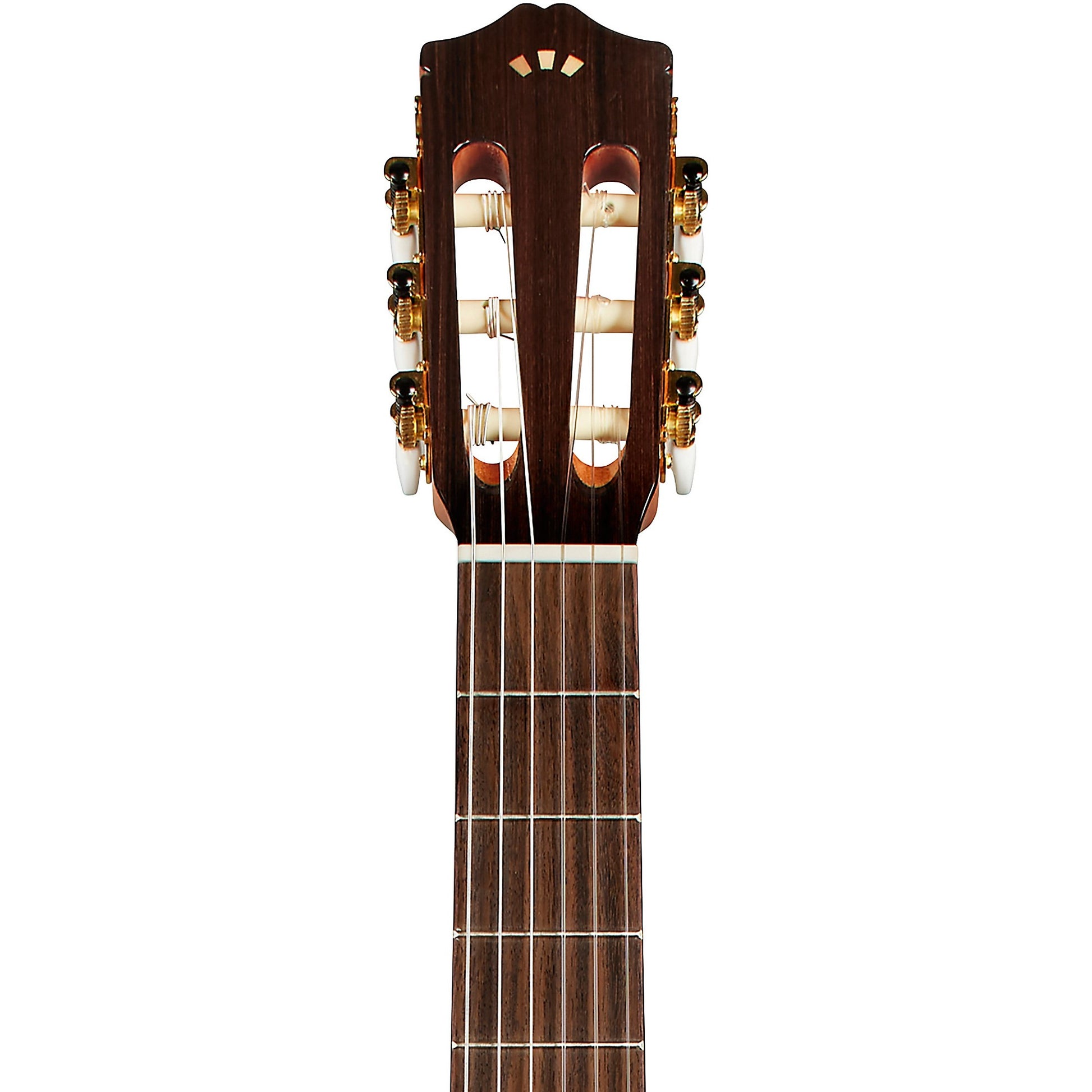Đàn Guitar Classic Cordoba C5-CE SP Spruce - Việt Music
