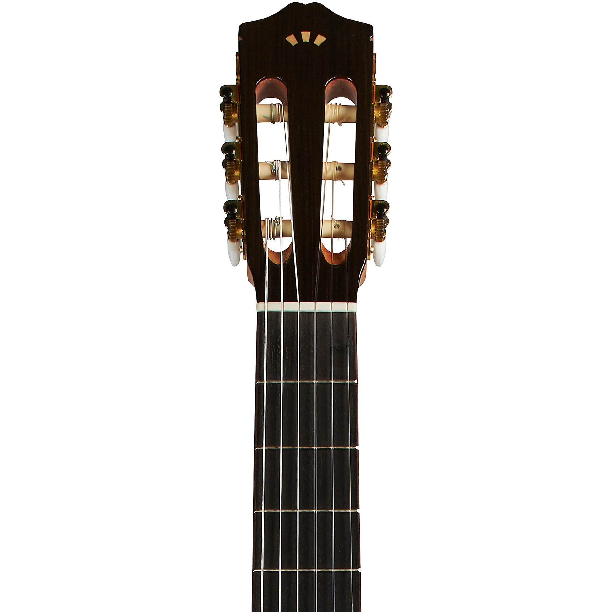 Đàn Guitar Classic Cordoba C5 SP Spruce - Việt Music