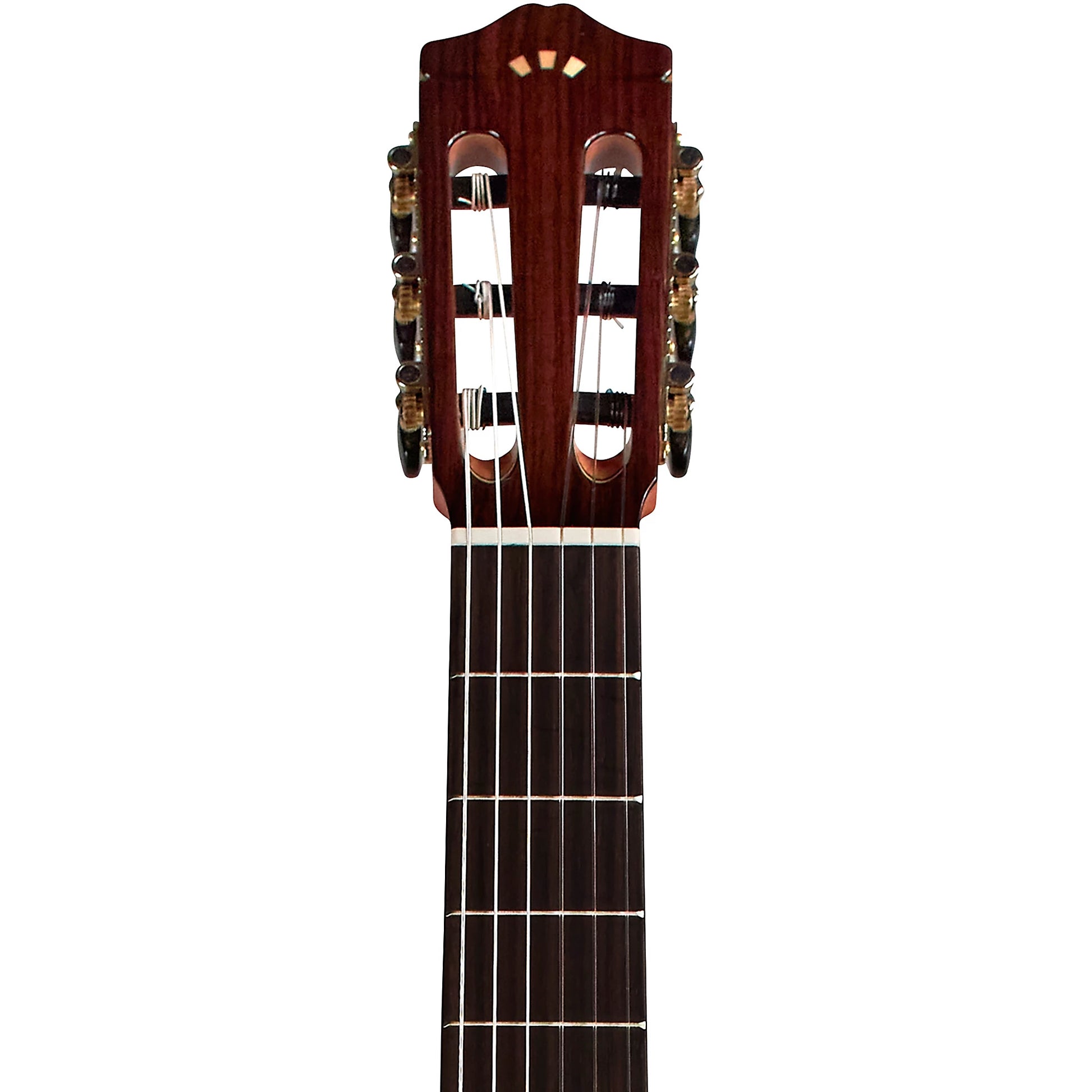 Đàn Guitar Classic Cordoba C7 SP Spruce - Việt Music