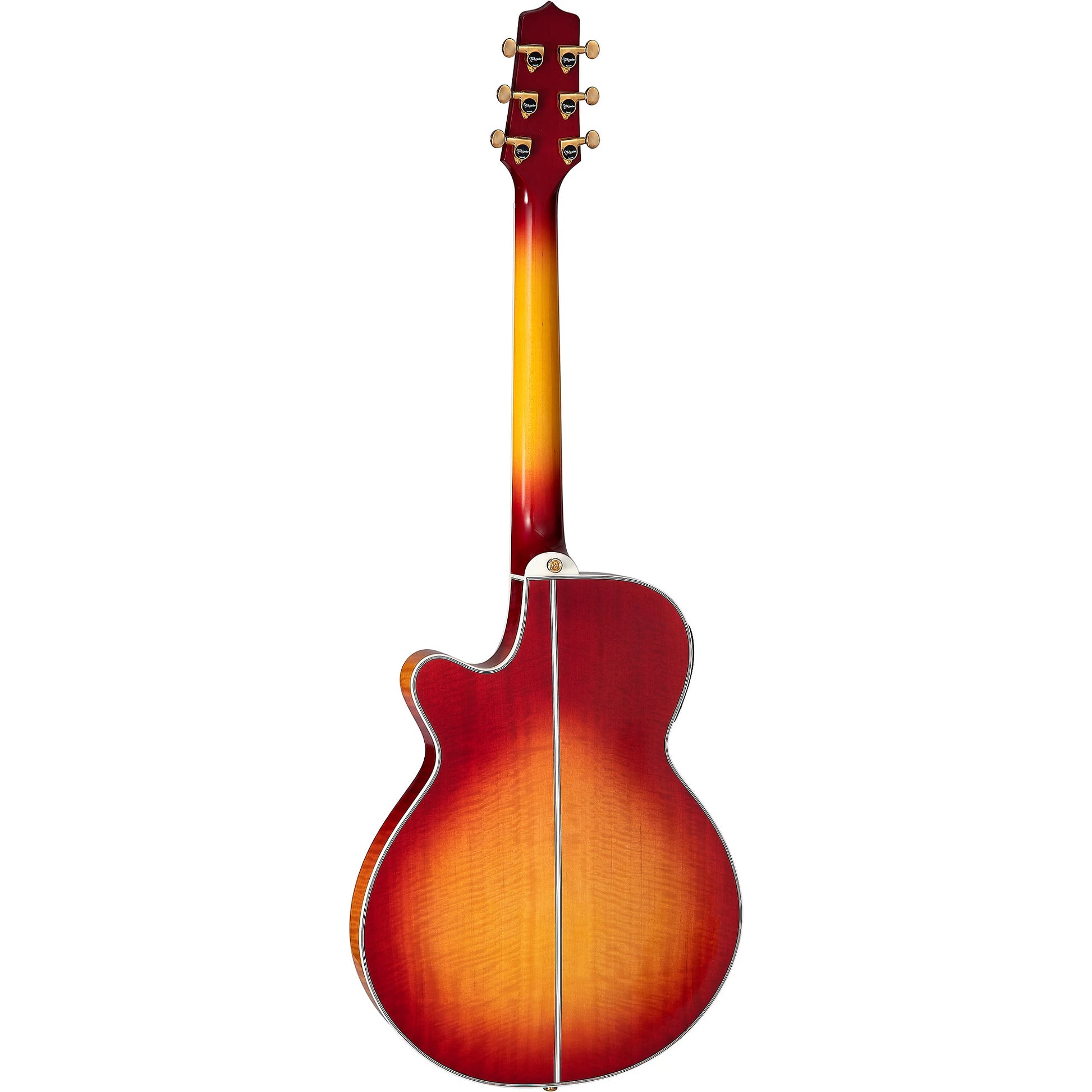 Đàn Guitar Acoustic Takamine TSP178AC - Việt Music
