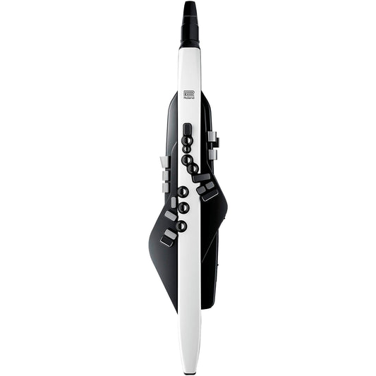 Kèn Điện Roland Aerophone AE-20 - Việt Music