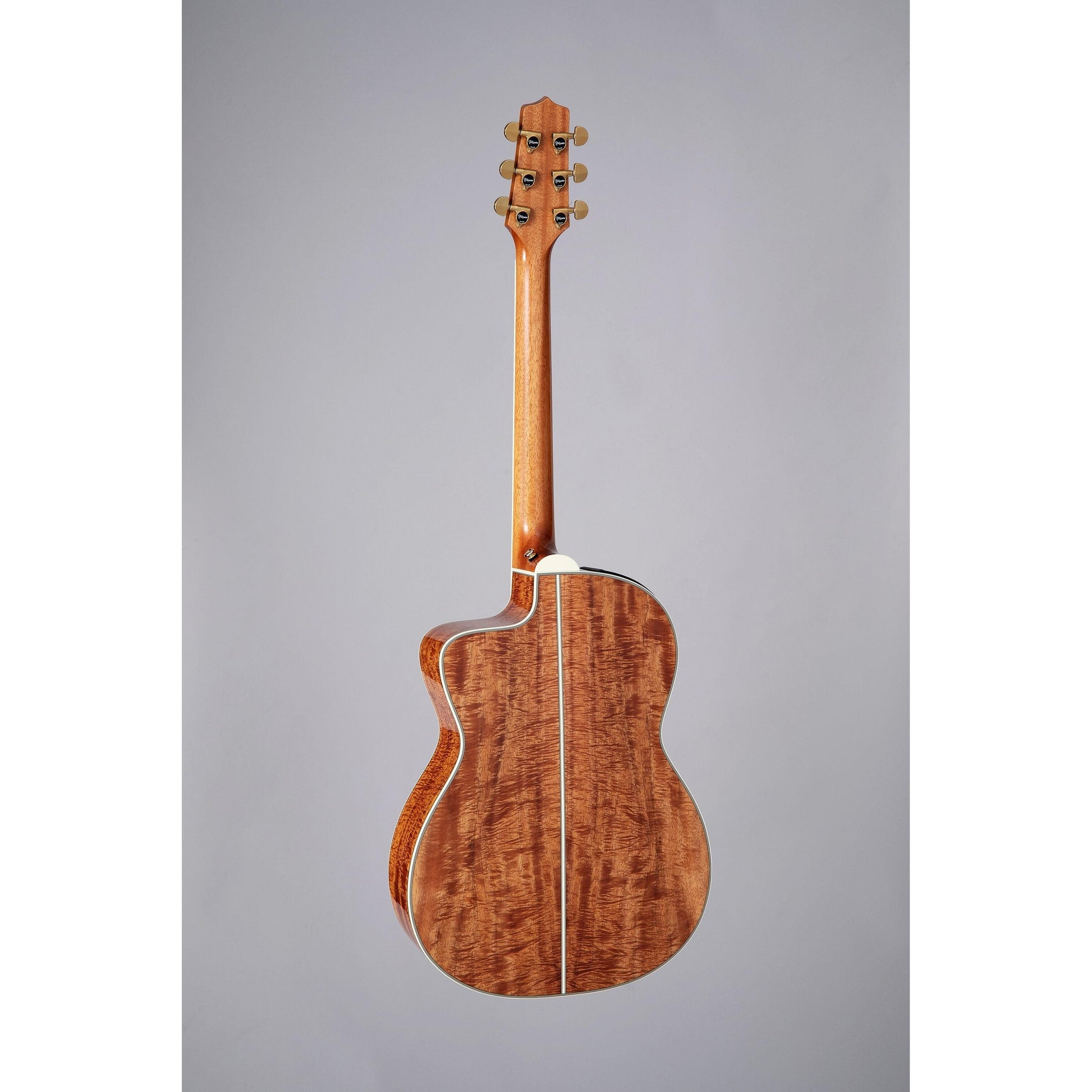 Đàn Guitar Acoustic Takamine LTD 2022 - Việt Music