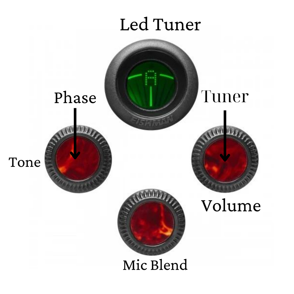 Fishman® Flex Blend System