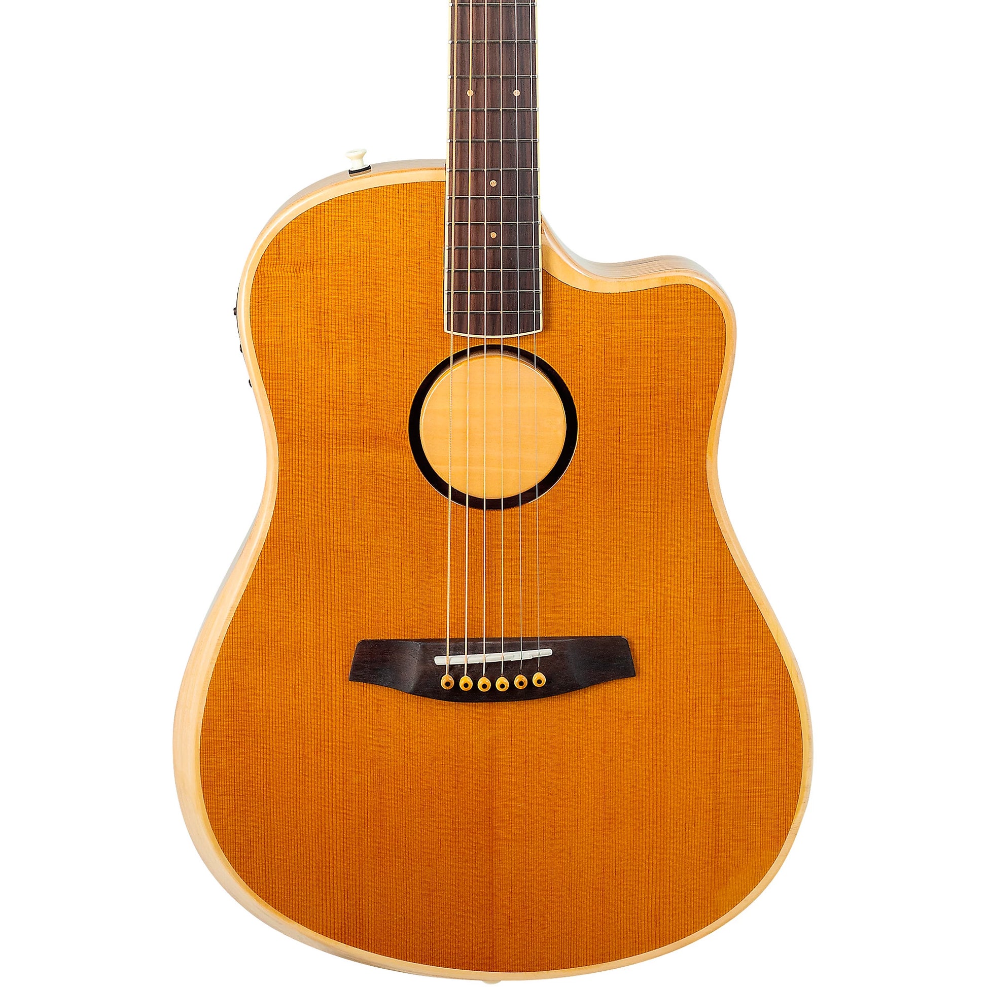 Đàn Guitar Acoustic LR Baggs AEG-1 - Việt Music