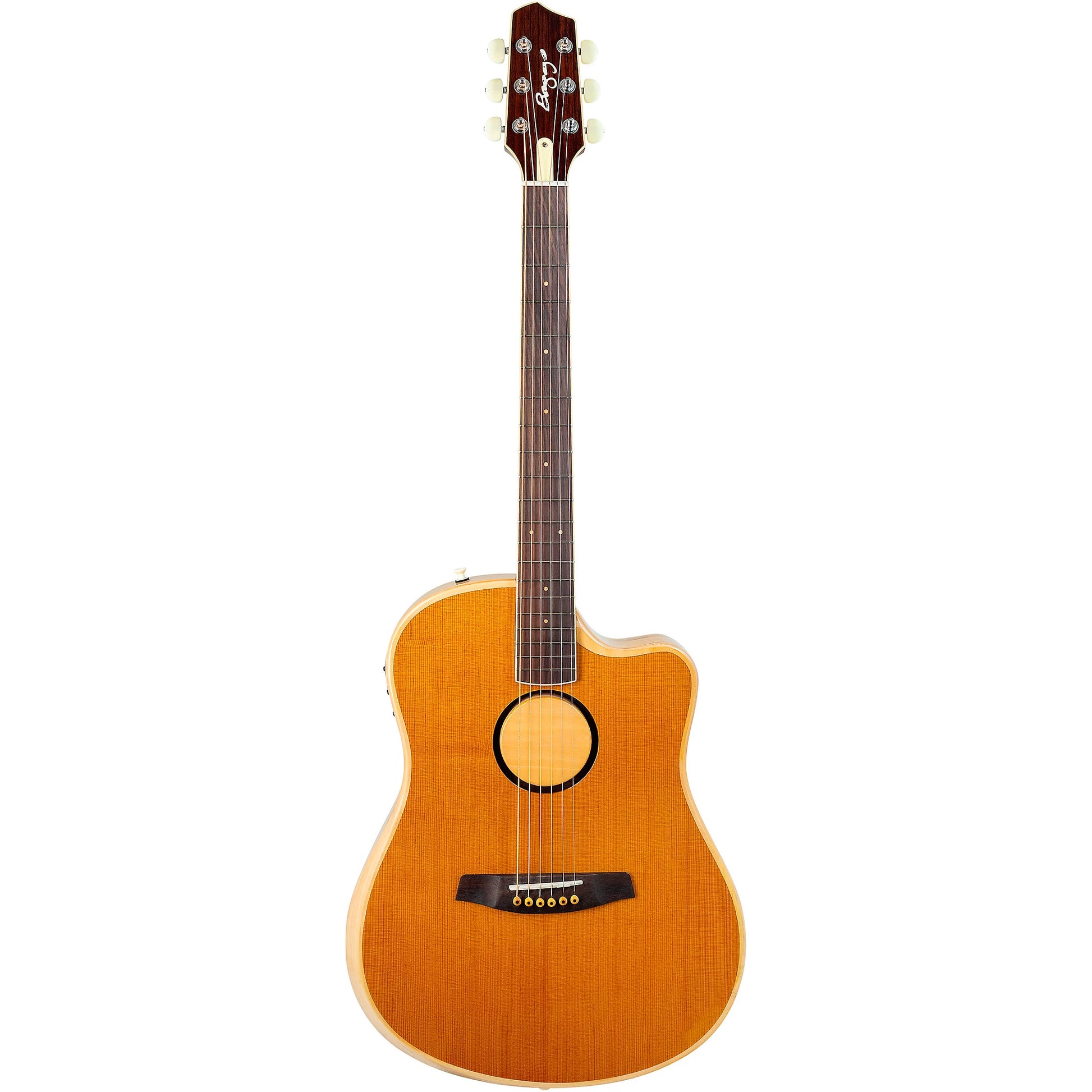 Đàn Guitar Acoustic LR Baggs AEG-1 - Việt Music