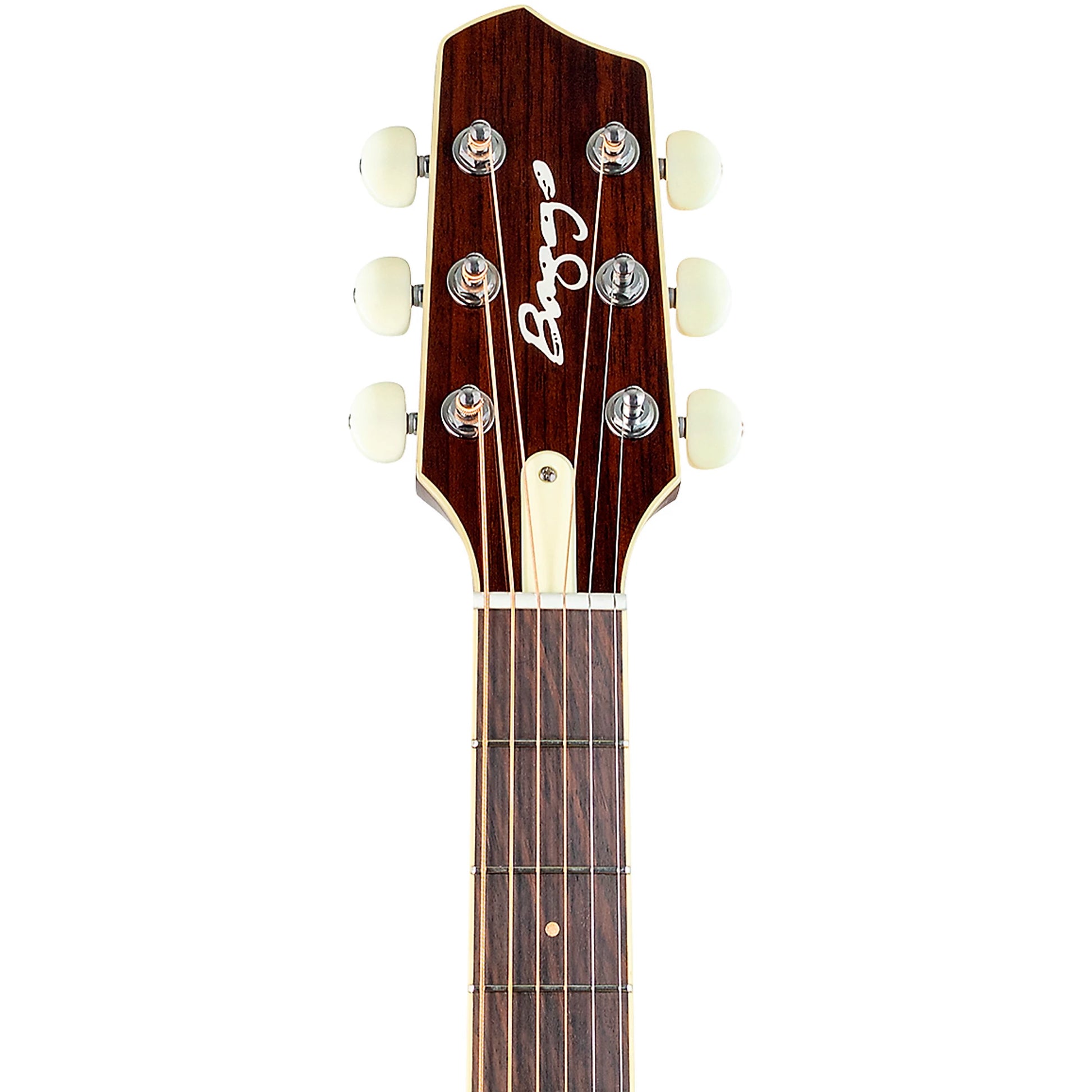 Đàn Guitar Acoustic LR Baggs AEG-1 - Việt Music