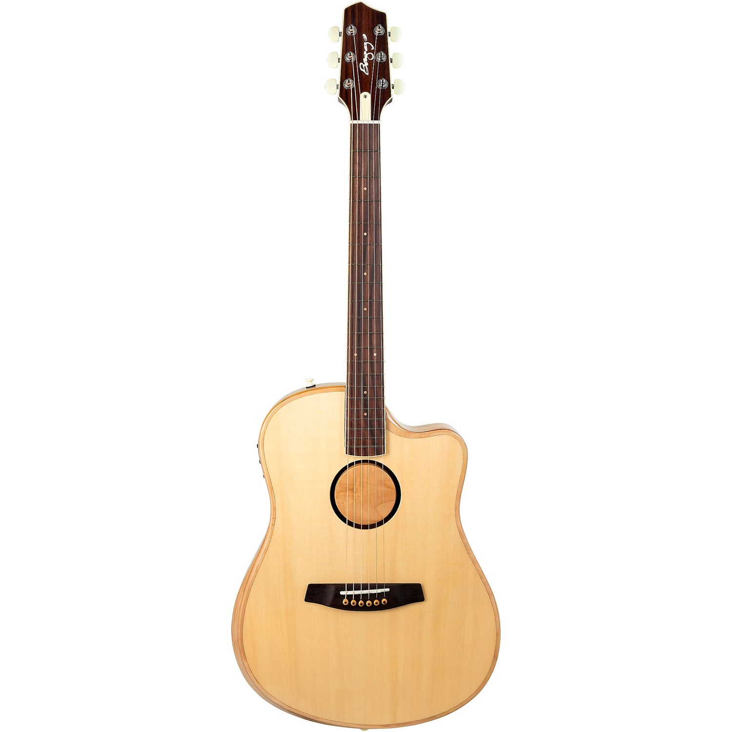 Đàn Guitar LR Baggs