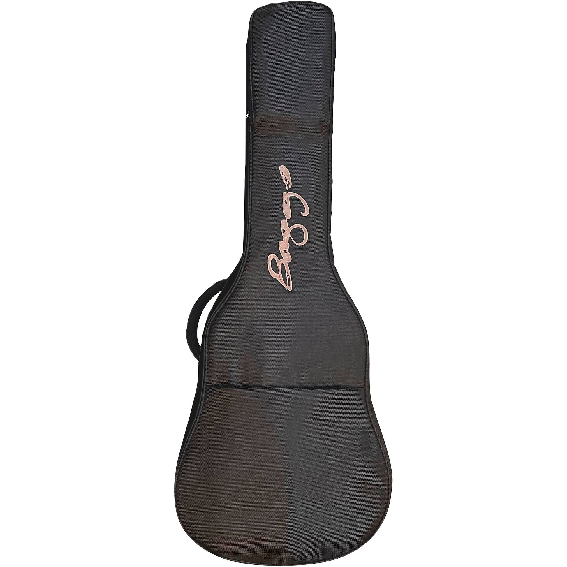 Đàn Guitar Acoustic LR Baggs AEG-1 - Việt Music