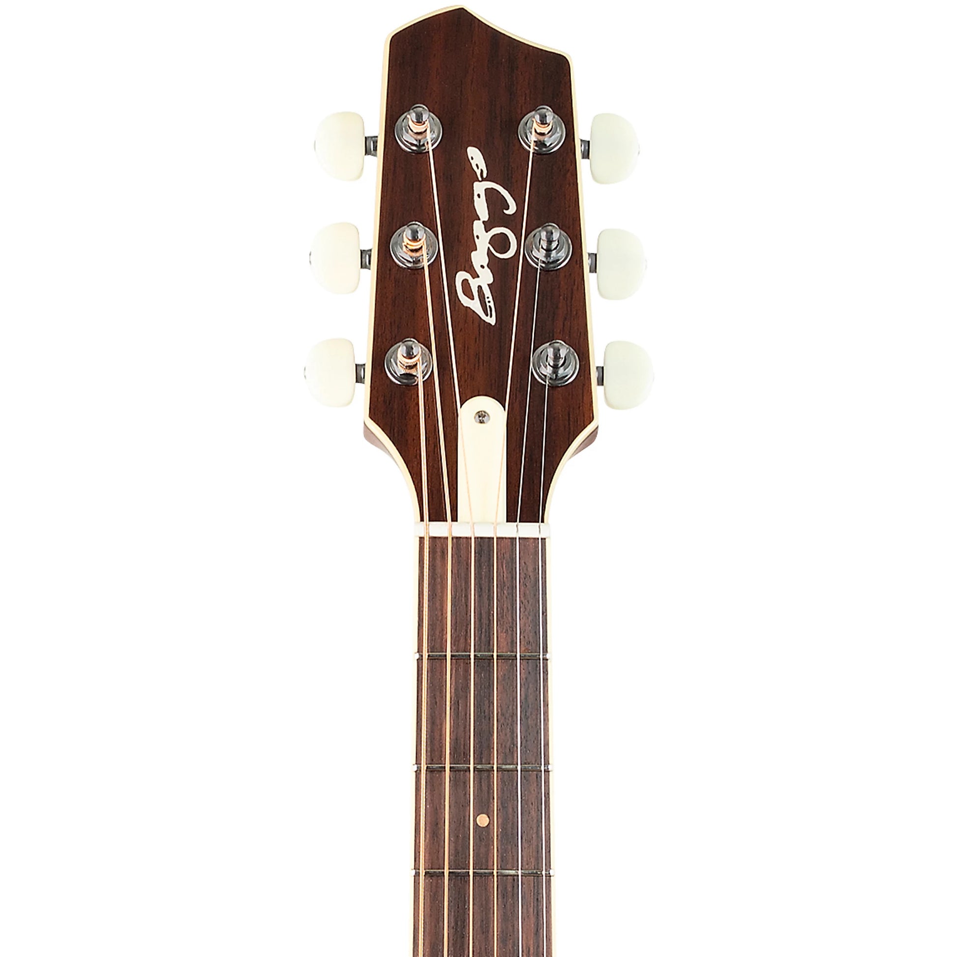 Đàn Guitar Acoustic LR Baggs AEG-1 - Việt Music