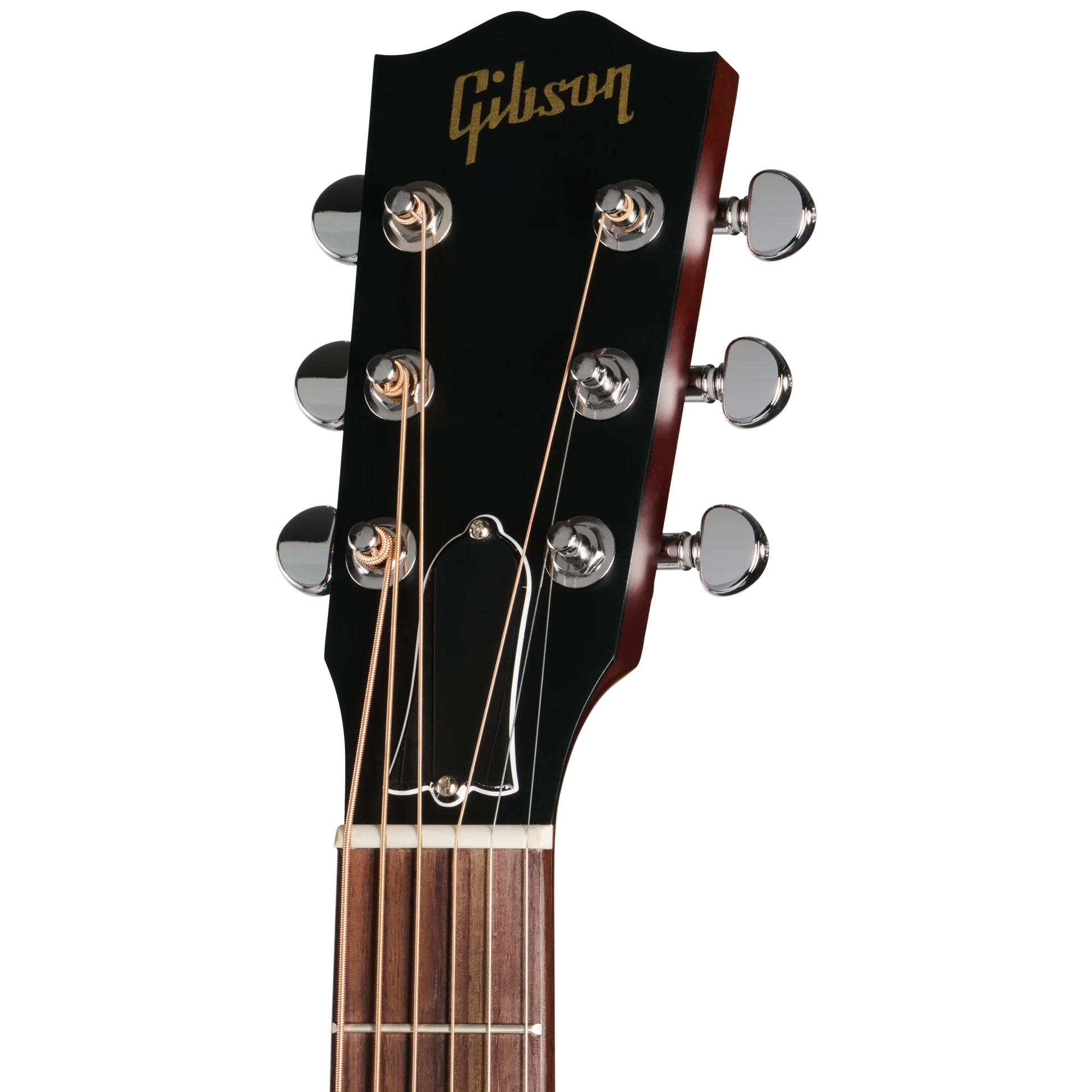 Đàn Guitar Acoustic Gibson L-00 Special - Việt Music