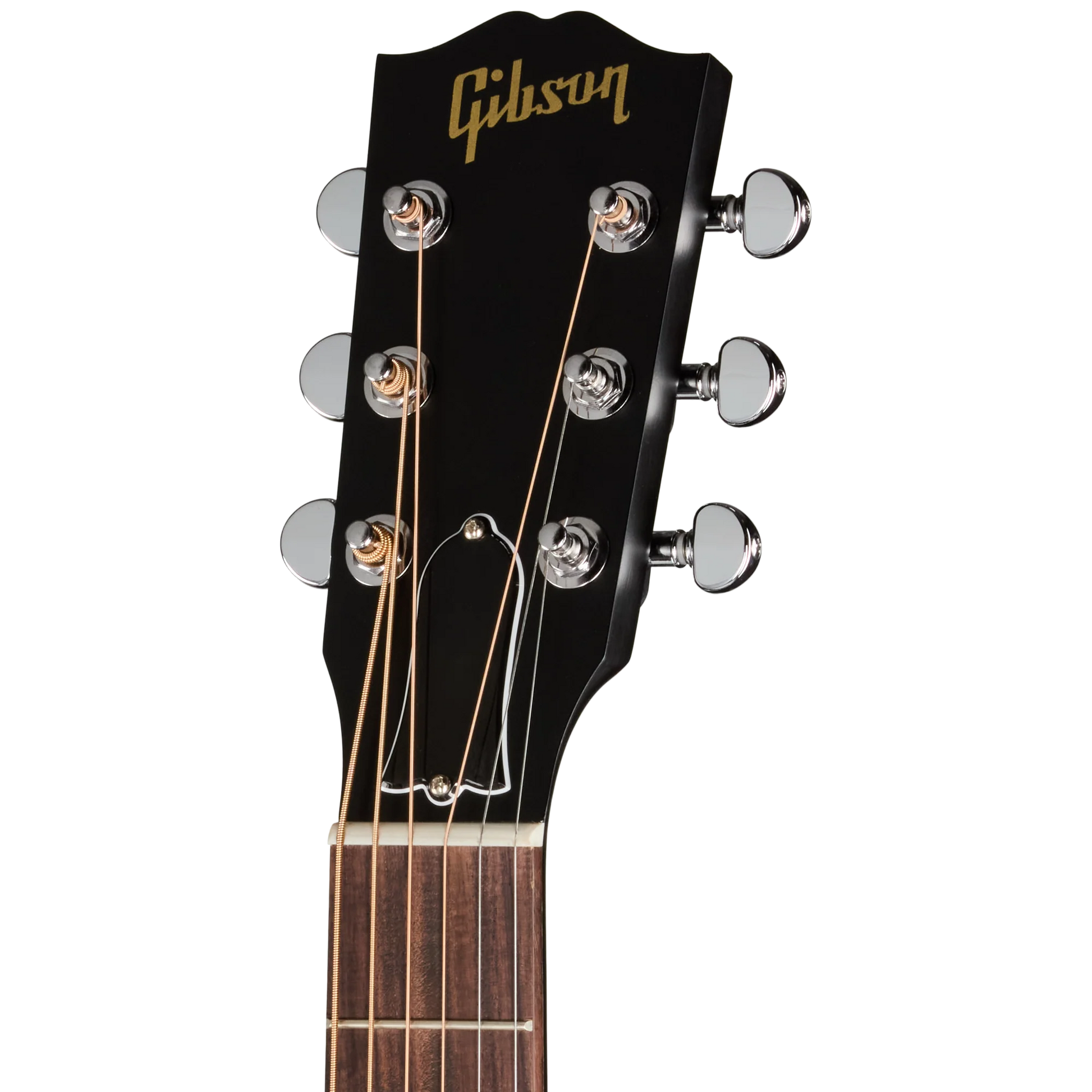 Đàn Guitar Acoustic Gibson L-00 Special - Việt Music