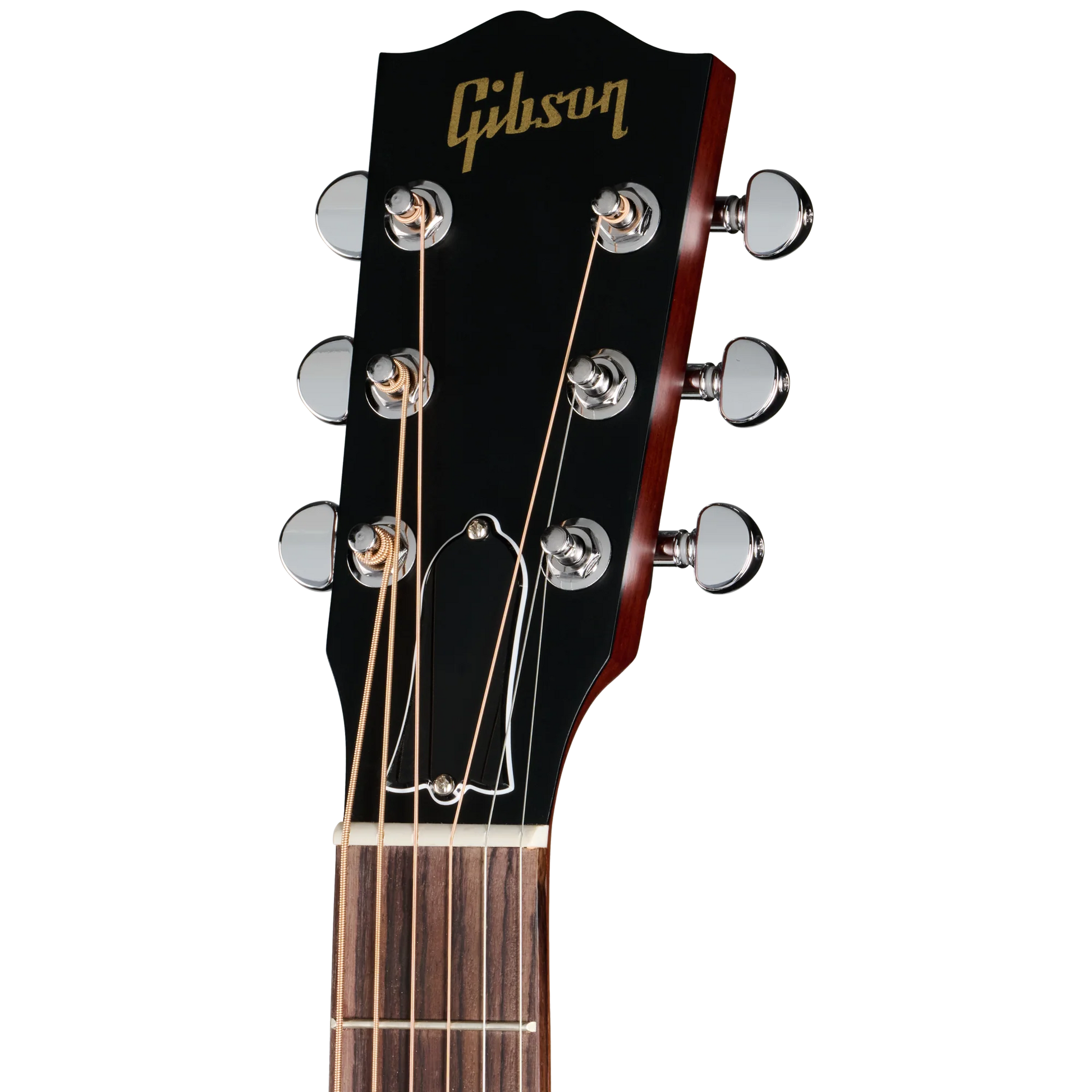 Đàn Guitar Acoustic Gibson L-00 Special - Việt Music