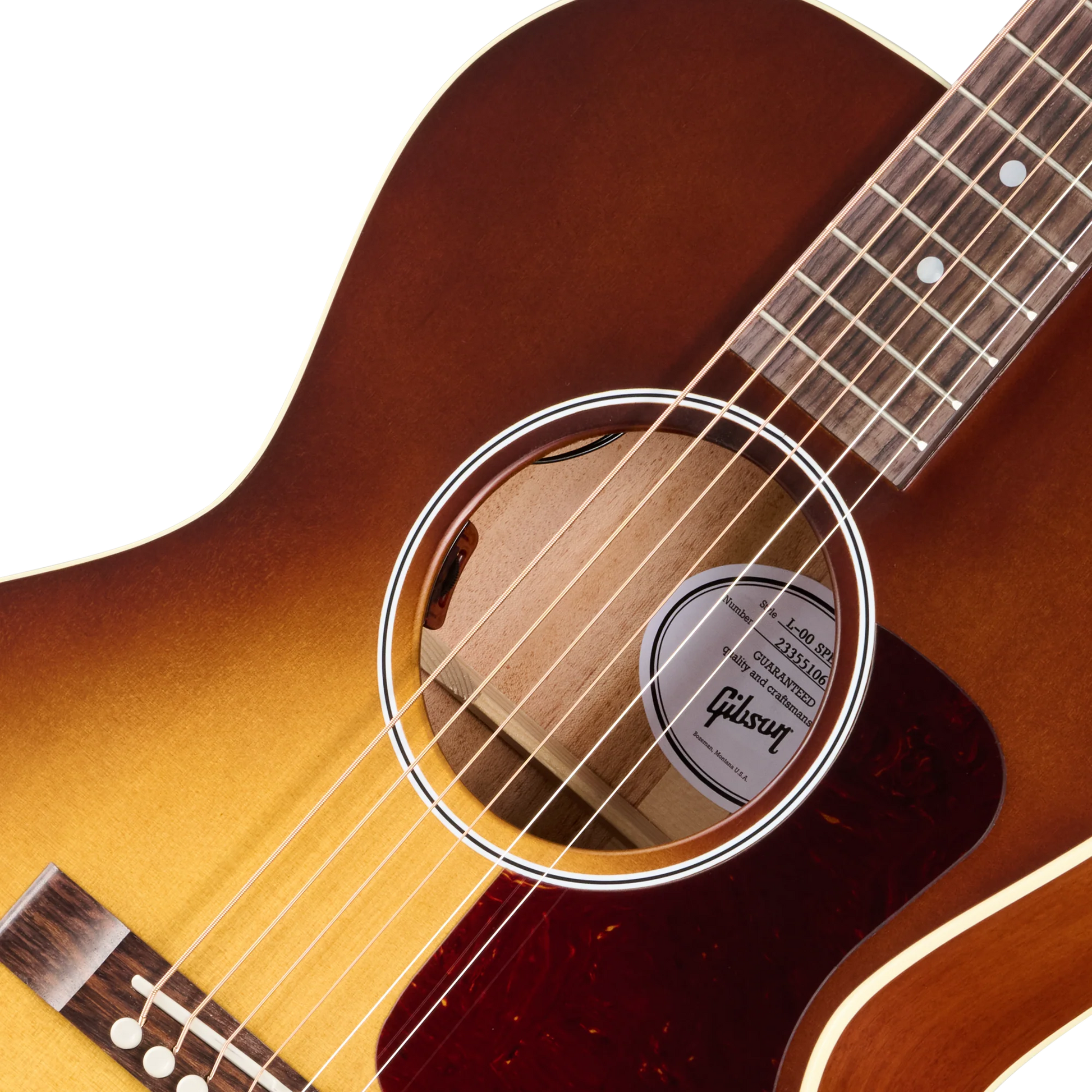 Đàn Guitar Acoustic Gibson L-00 Special - Việt Music