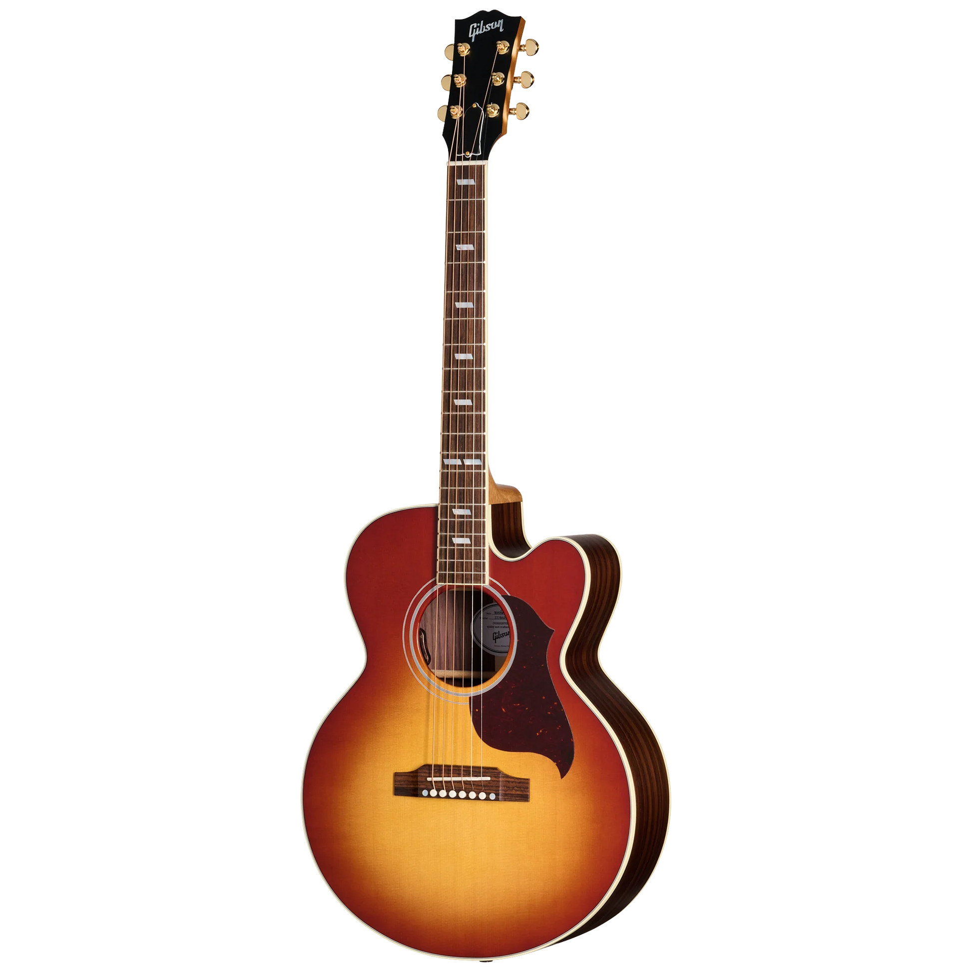 Đàn Guitar Acoustic Gibson Parlor Rosewood EC - Việt Music