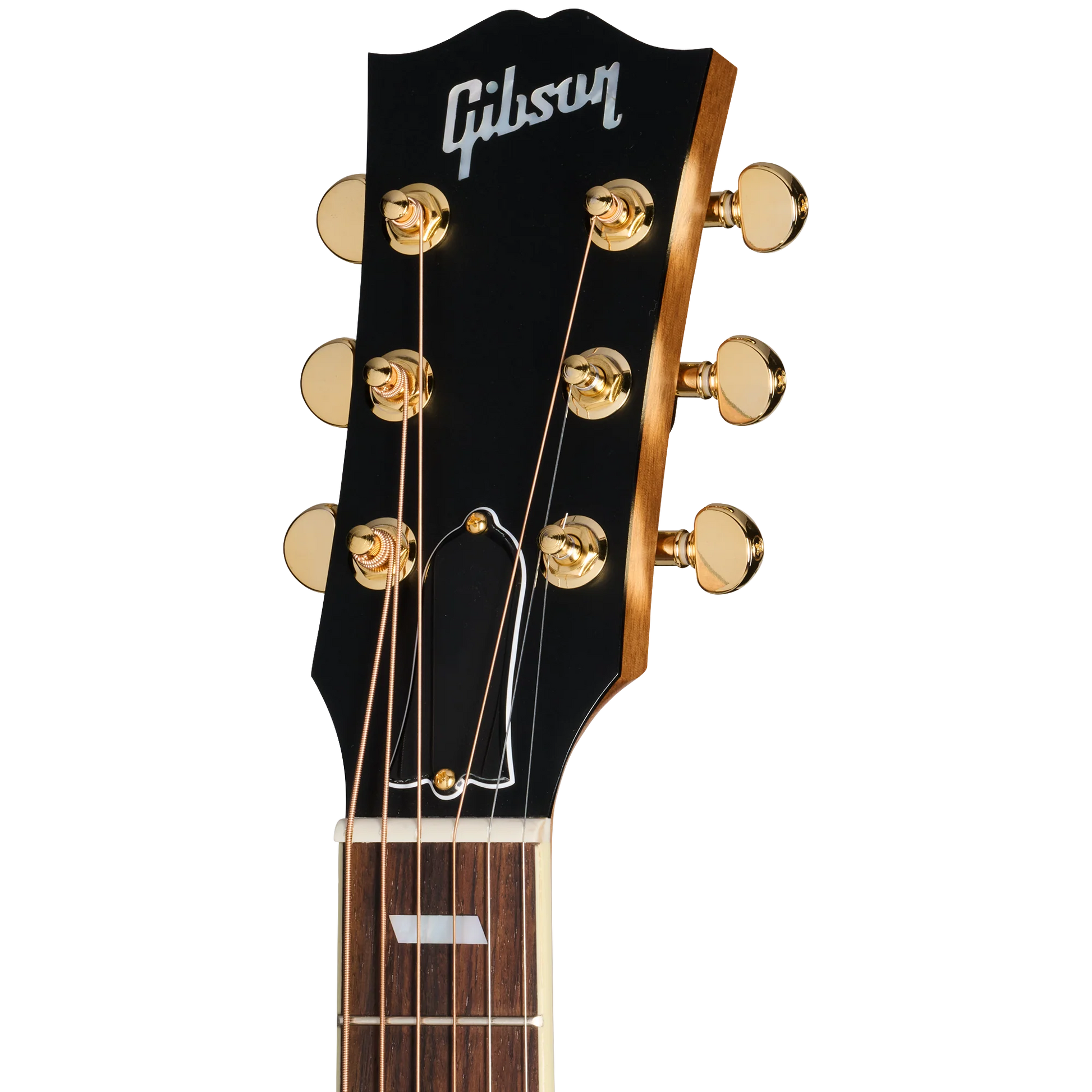 Đàn Guitar Acoustic Gibson Parlor Rosewood EC - Việt Music