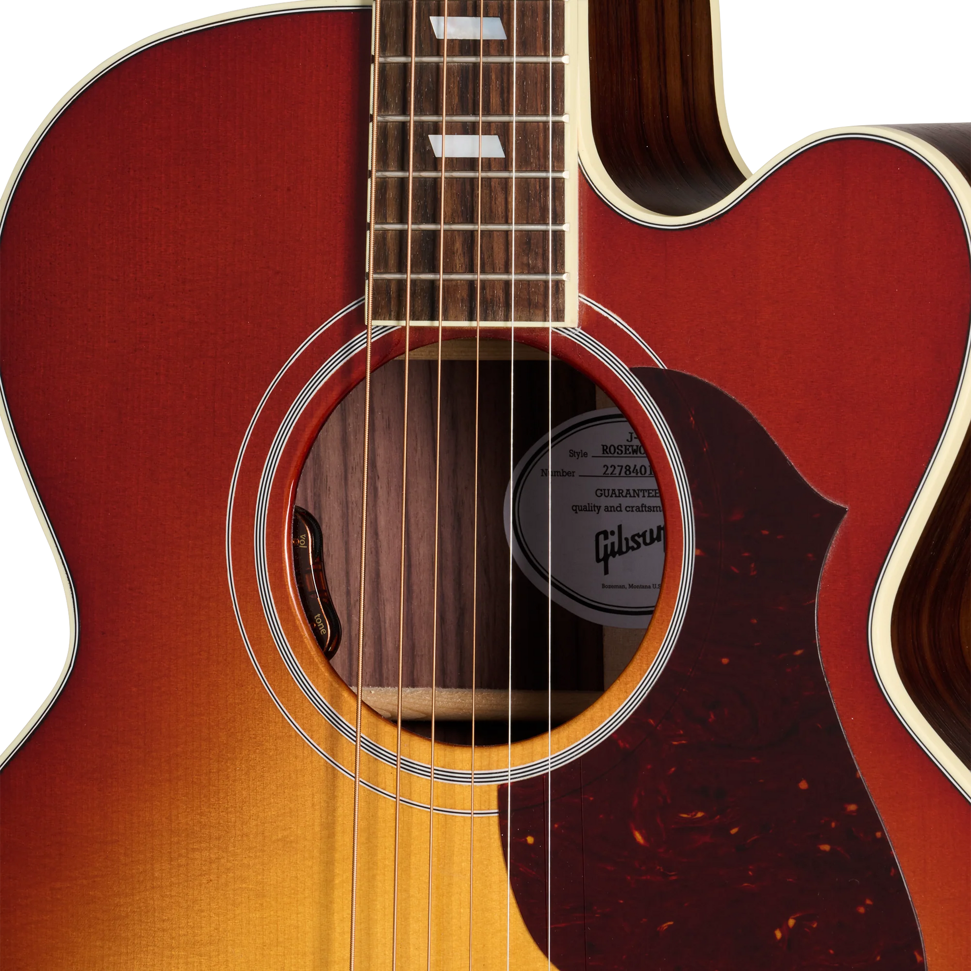 Đàn Guitar Acoustic Gibson Parlor Rosewood EC - Việt Music