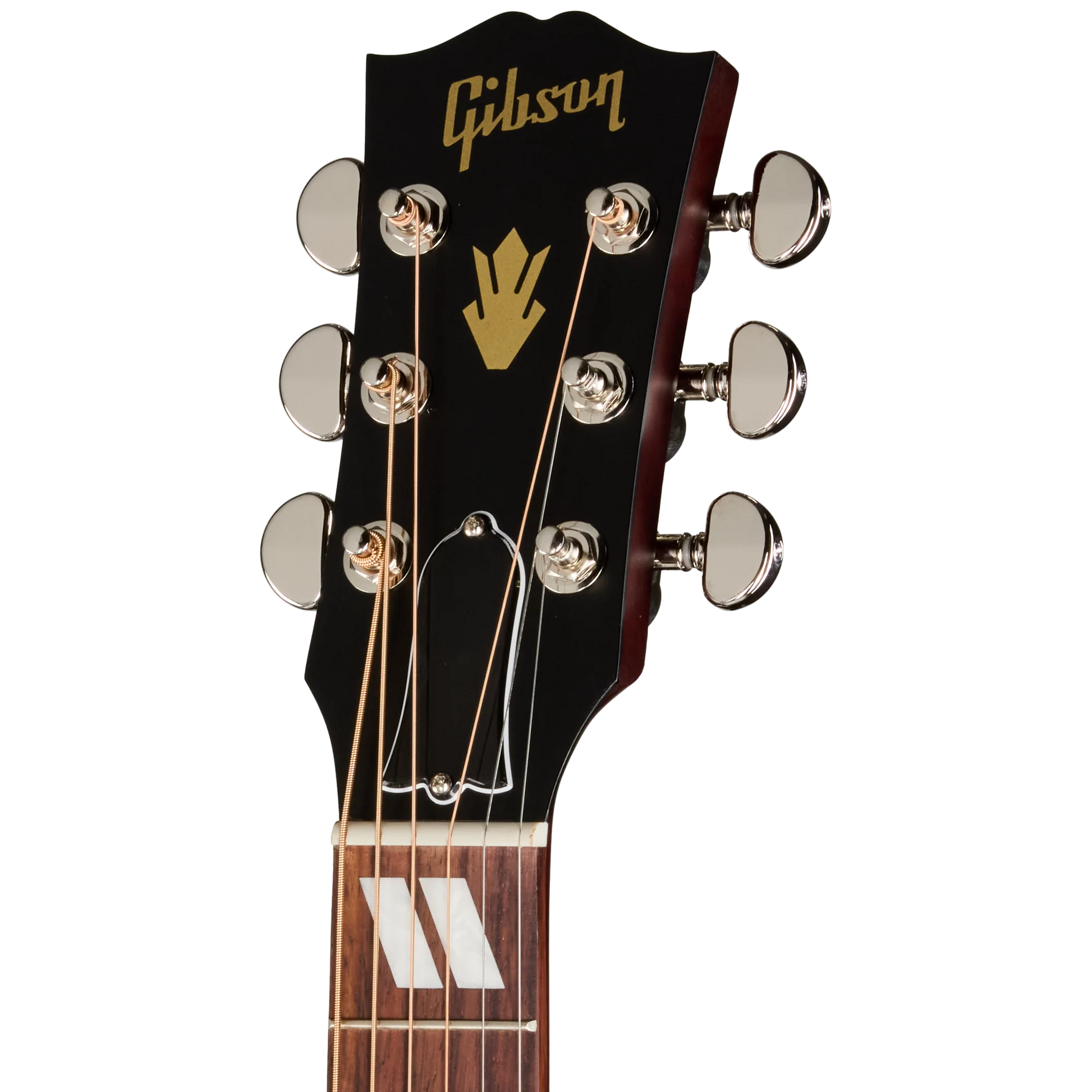 Đàn Guitar Acoustic Gibson Hummingbird Special - Việt Music