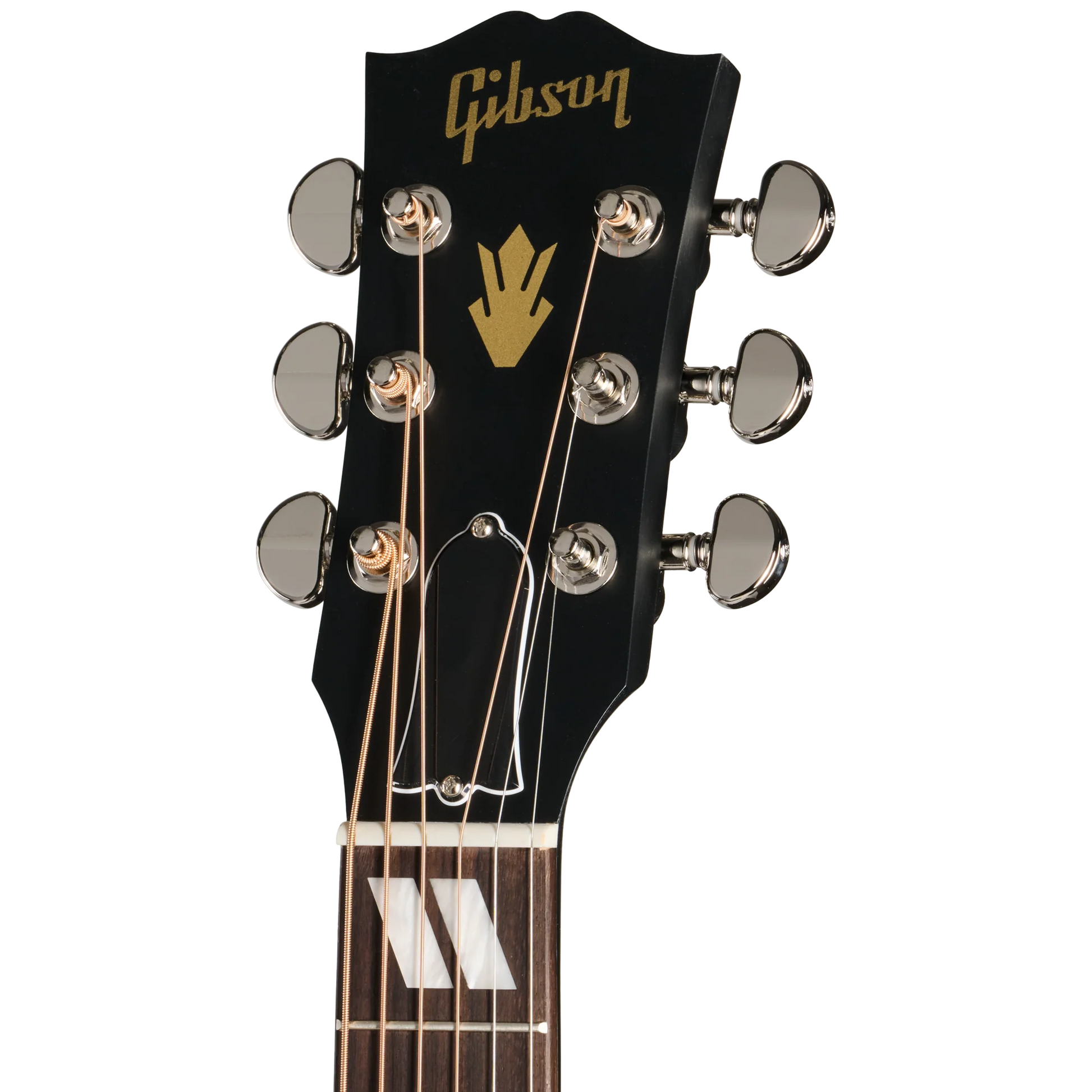 Đàn Guitar Acoustic Gibson Hummingbird Special - Việt Music