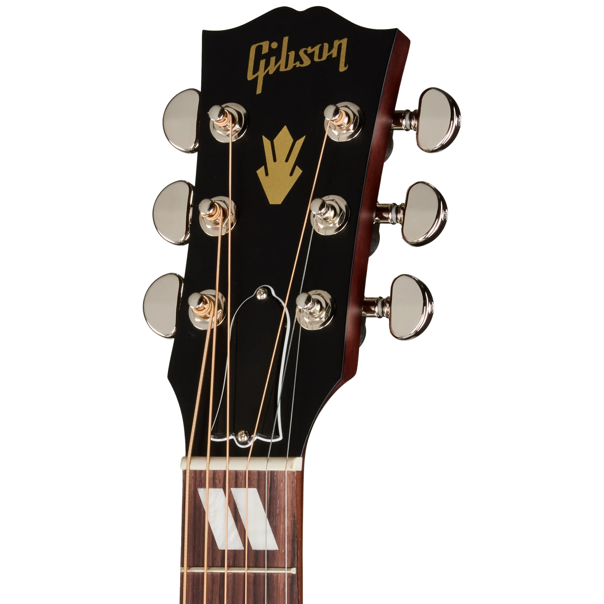 Đàn Guitar Acoustic Gibson Hummingbird Special - Việt Music