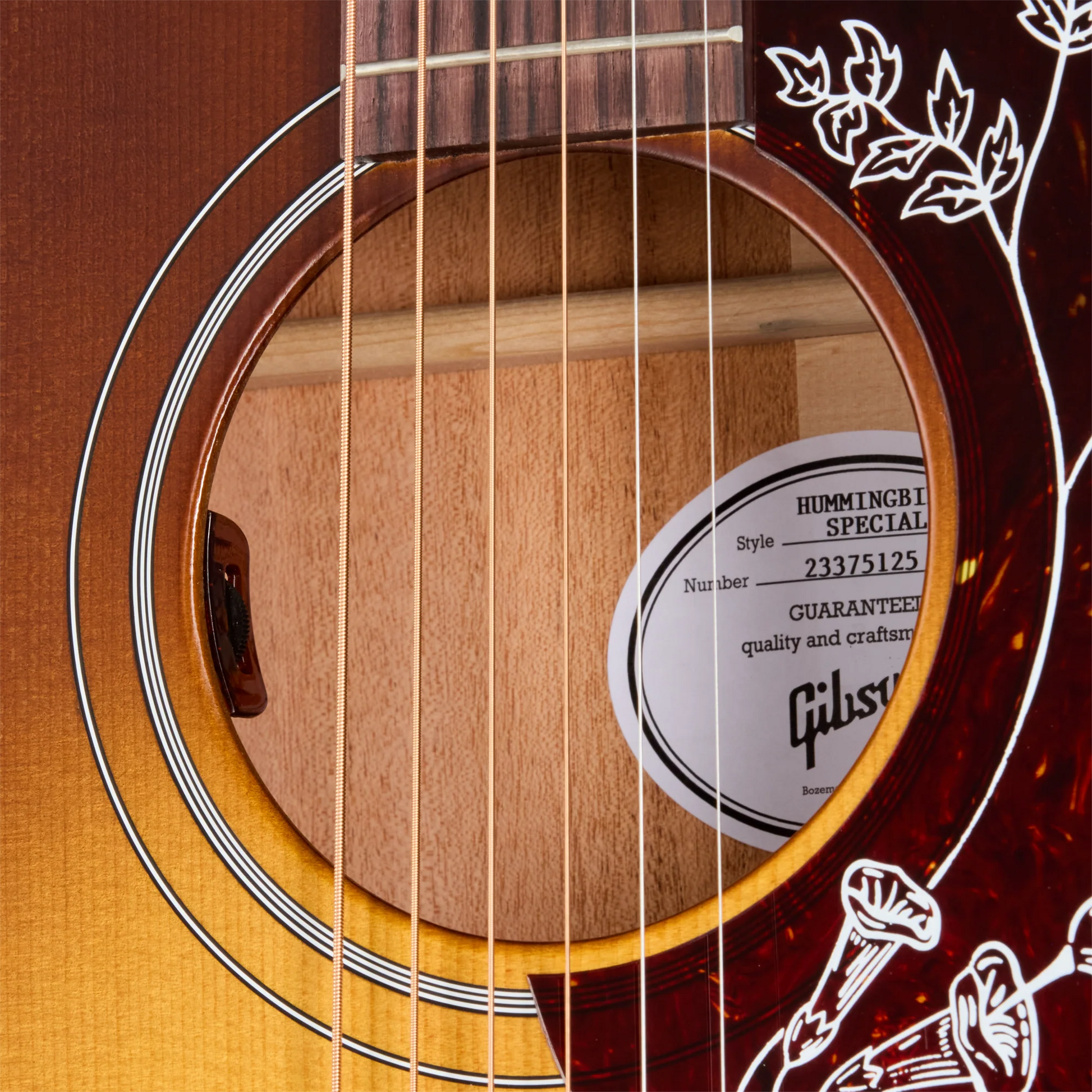 Đàn Guitar Acoustic Gibson Hummingbird Special - Việt Music