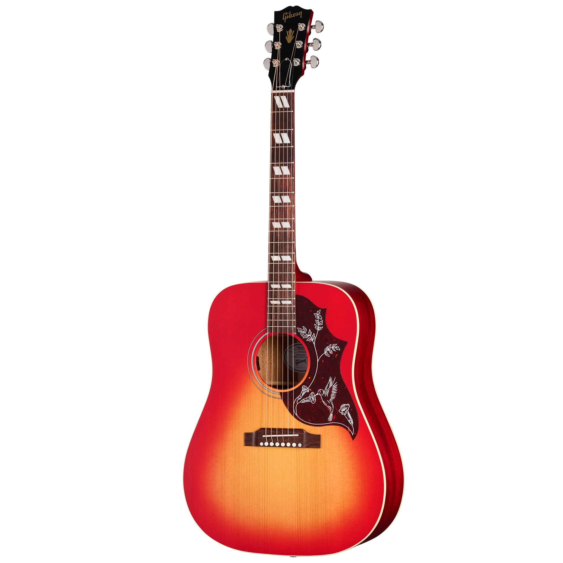 Đàn Guitar Acoustic Gibson Hummingbird Special - Việt Music