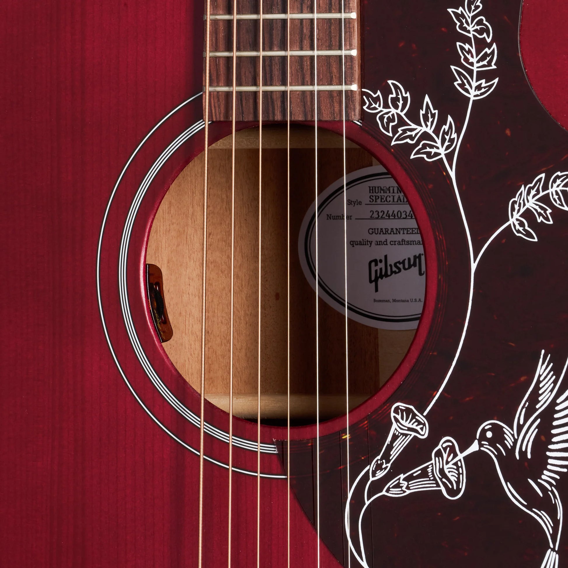 Đàn Guitar Acoustic Gibson Hummingbird Special - Việt Music
