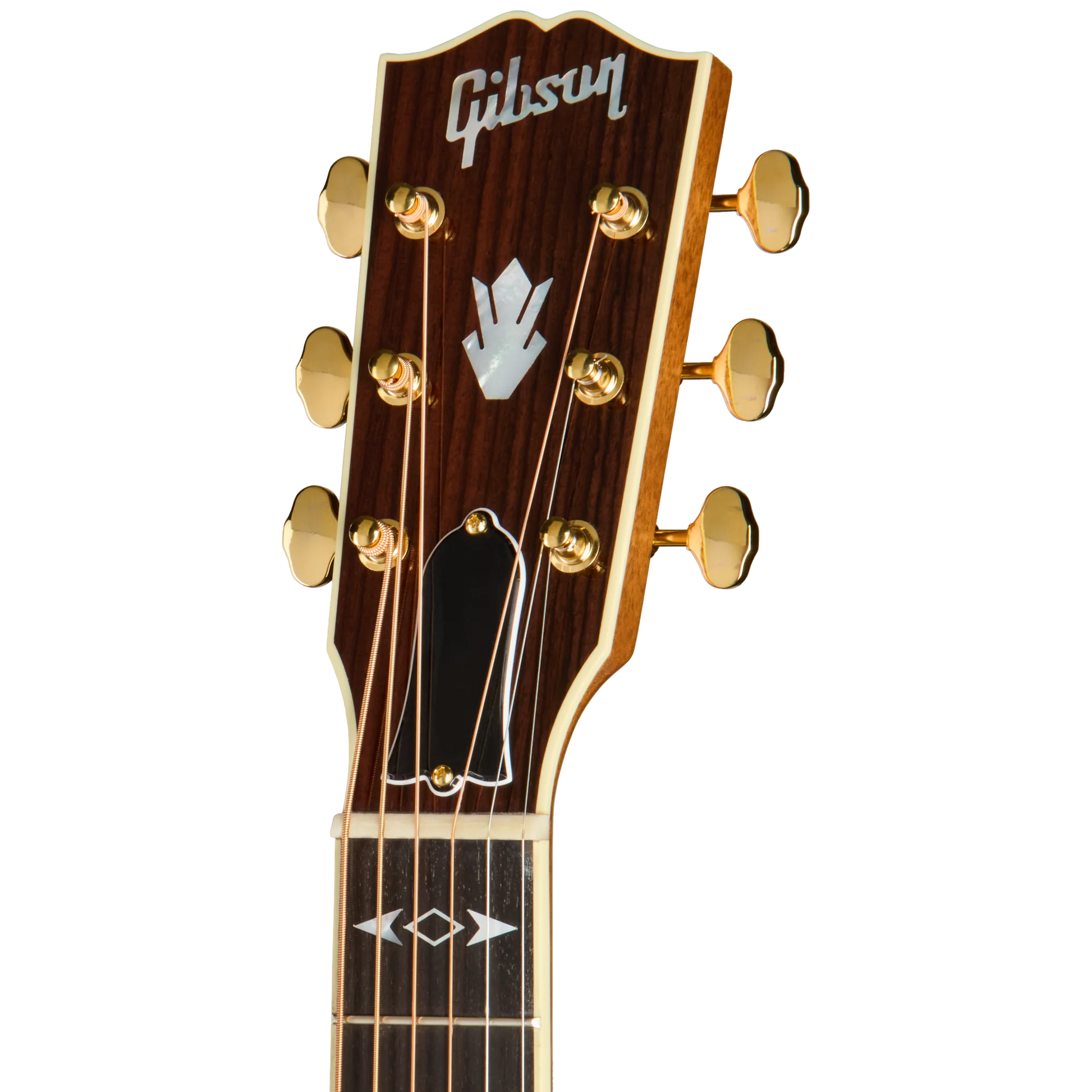 Đàn Guitar Acoustic Gibson Songwriter Recording Artist EC - Việt Music