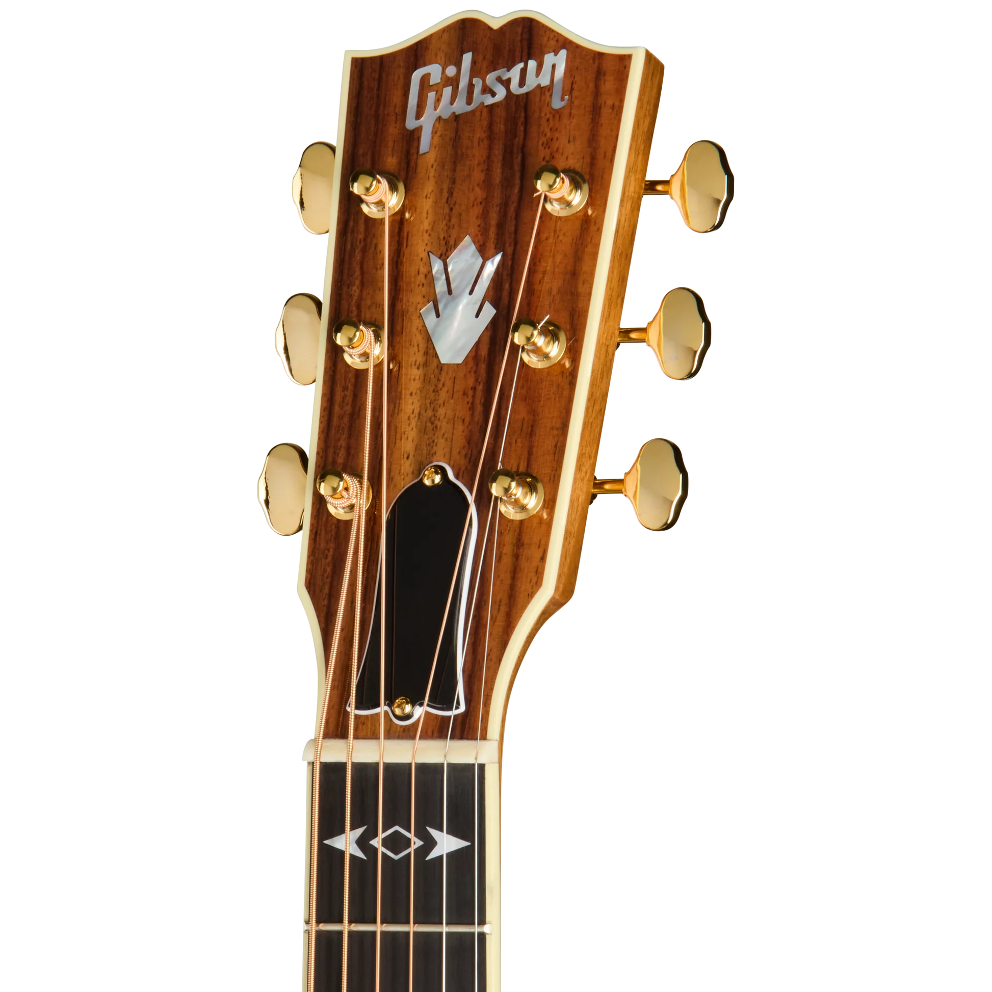 Đàn Guitar Acoustic Gibson Songwriter Recording Artist EC - Việt Music