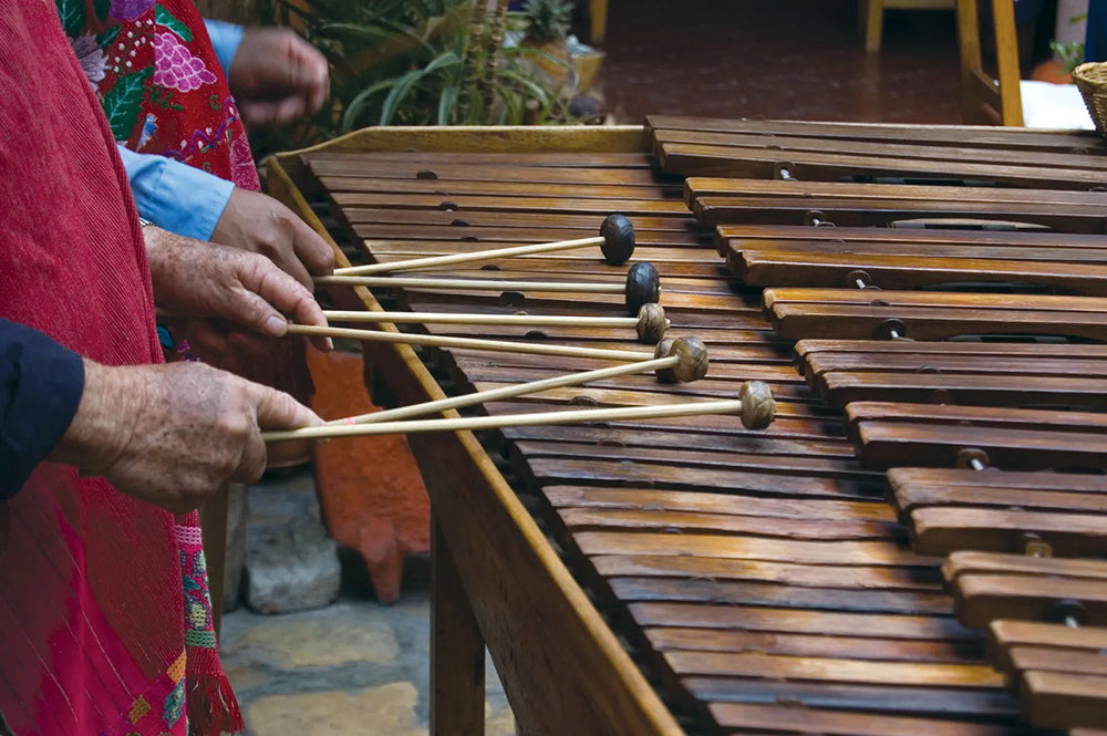 Cấu Trúc Của Một Cây Đàn Marimba