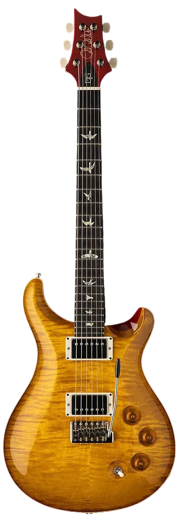 Đàn Guitar Điện PRS Core PRS DGT 10-Top HH, Rosewood Fingerboard (2025) - Việt Music