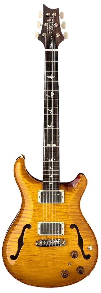Đàn Guitar Điện PRS Core Hollowbody II Piezo 10-Top HH, Rosewood Fingerboard (2025) - Việt Music