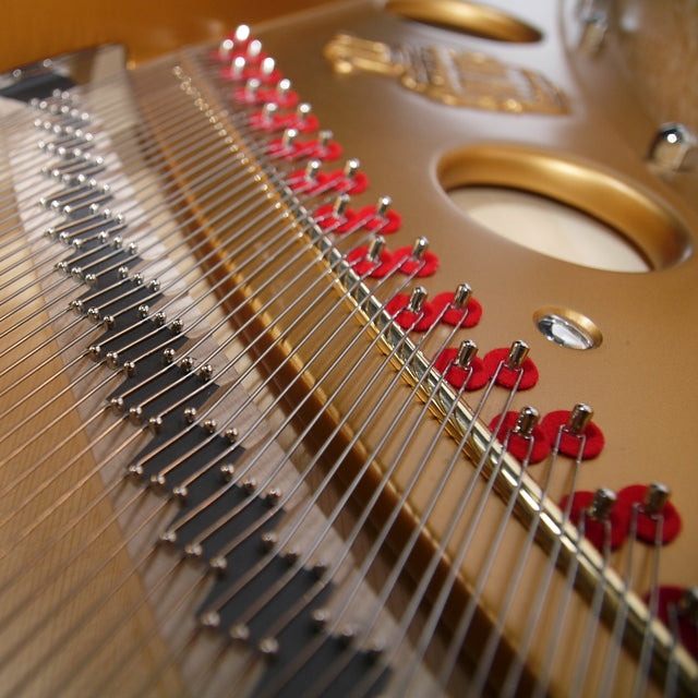 Grand Piano Steingraeber & Söhne B-192 - Salon Concert Grand - Việt Music