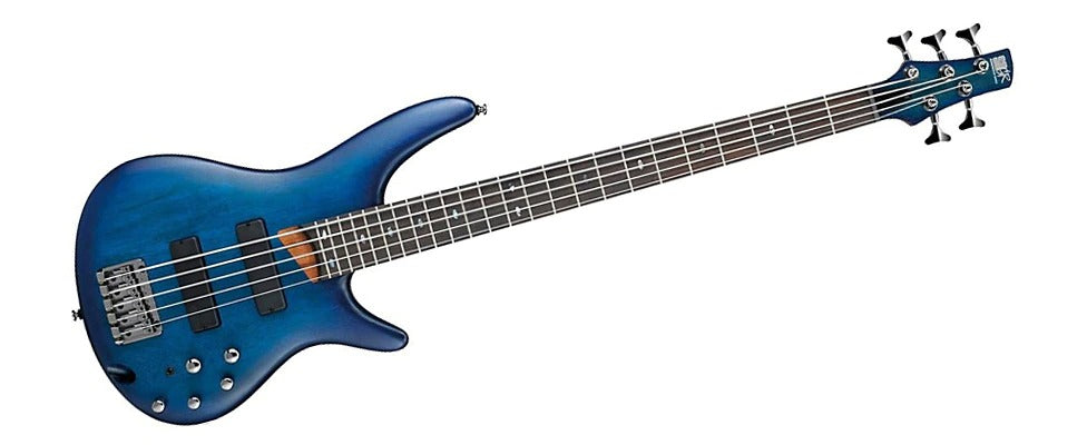 NS Design CR5 Radius Fretless Bass