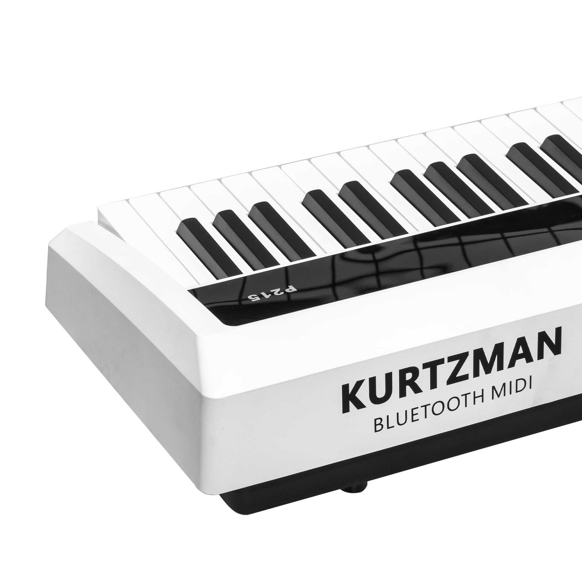 Đàn Piano Điện Kurtzman P215 - Việt Music