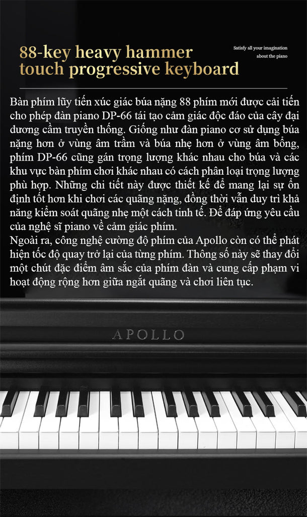 Đàn Piano Điện Apollo DP-66