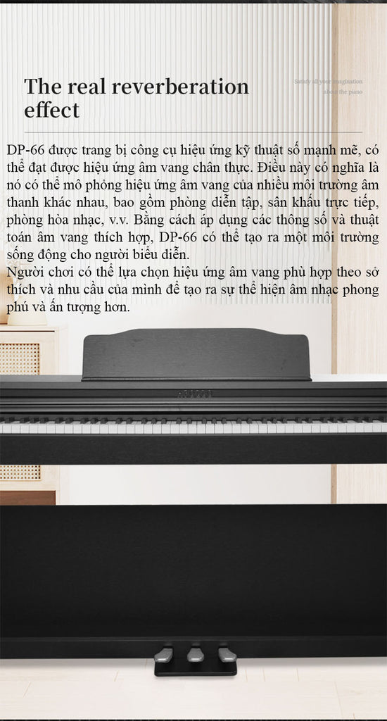 Đàn Piano Điện Apollo DP-66