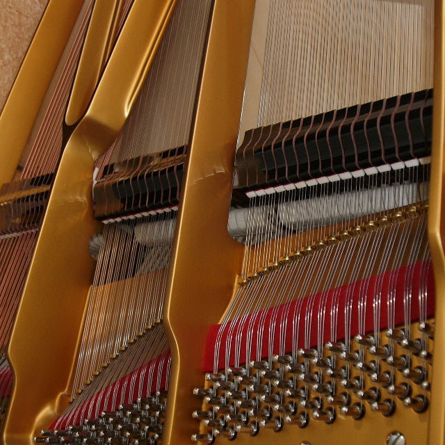 Grand Piano Steingraeber & Söhne D-232 - Semi Concert Grand - Việt Music