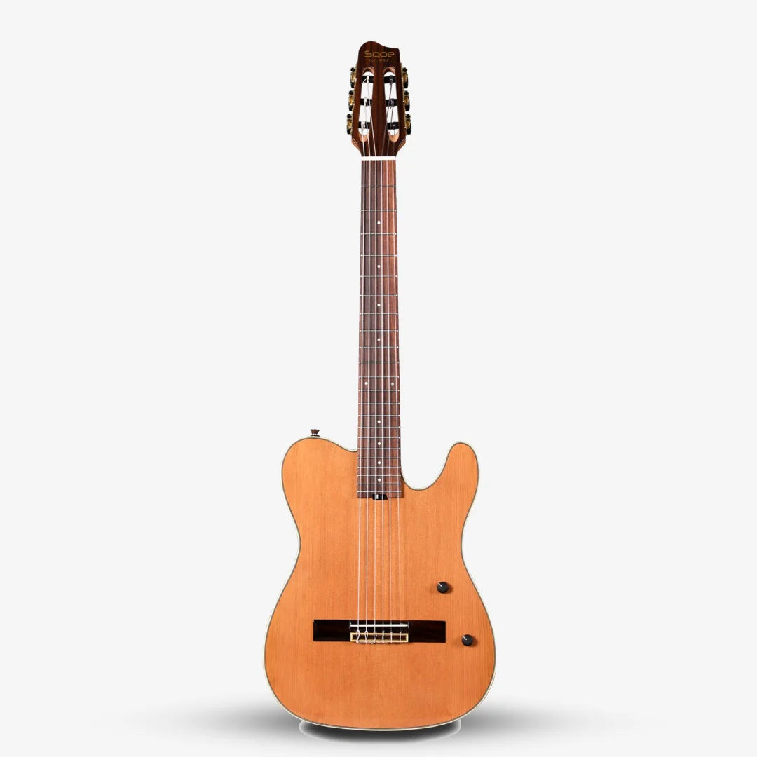 Đàn Guitar Silent Classic Sqoe SEGD900 - Việt Music