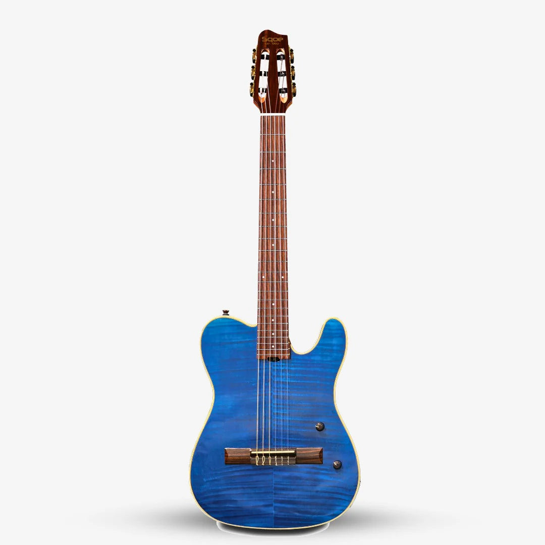 Đàn Guitar Silent Classic Sqoe SEGD900 - Việt Music