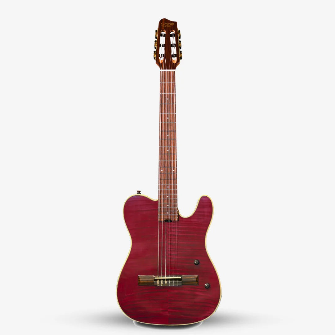 Đàn Guitar Silent Classic Sqoe SEGD900 - Việt Music