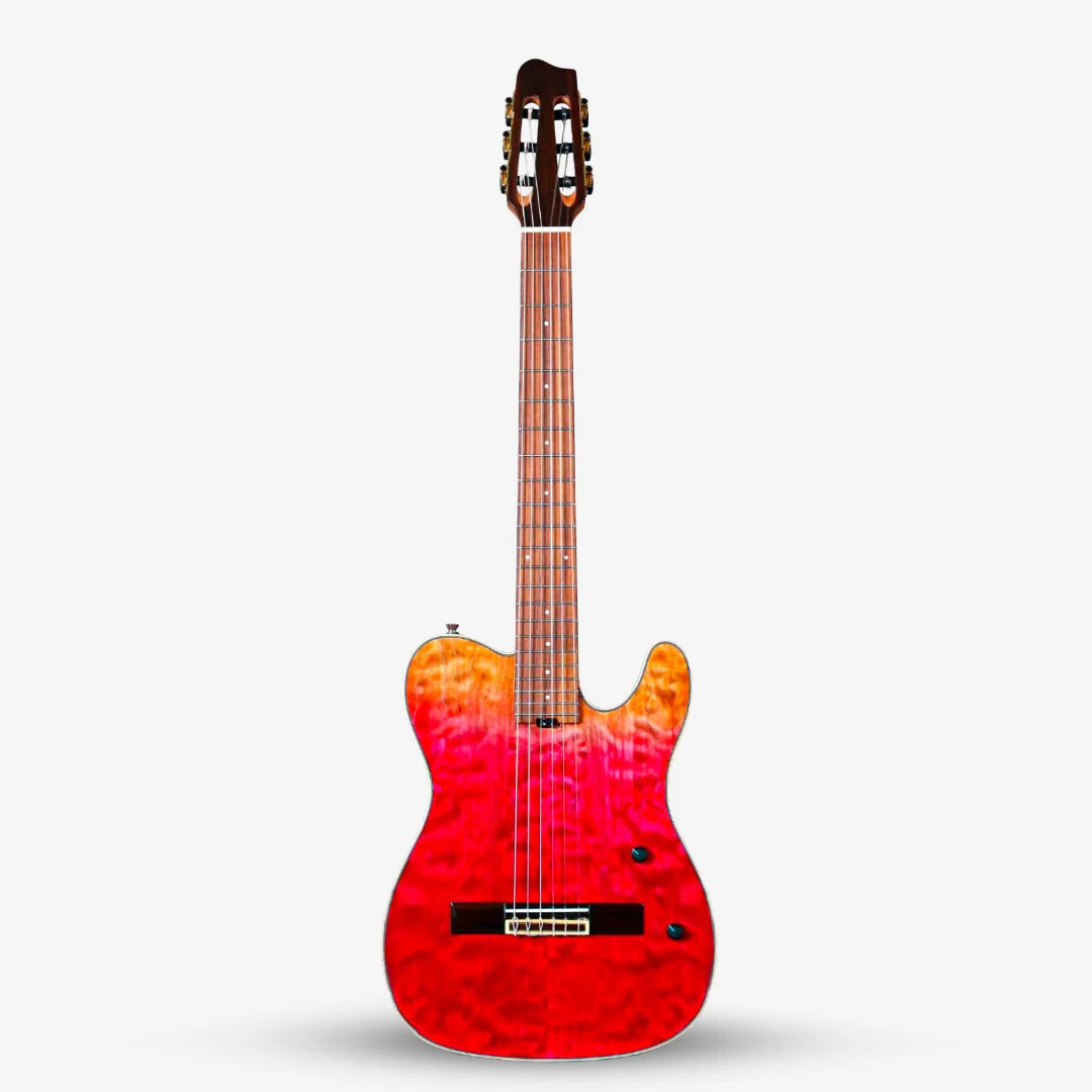 Đàn Guitar Silent Classic Sqoe SEGD900 - Việt Music