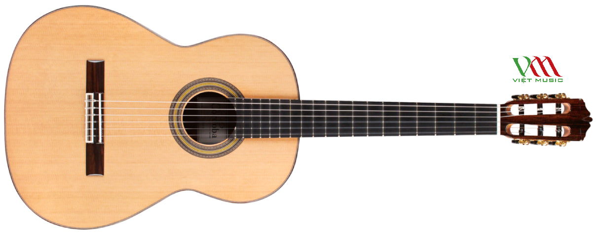 Địa Điểm Shop Đàn Guitar Uy Tín Tại Quận Tân Bình - TP HCM