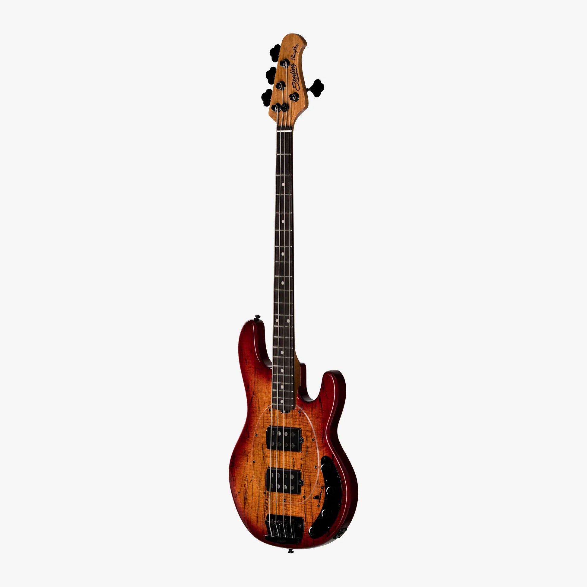 Đàn Guitar Bass Sterling By Music Man StingRay HH Maple Top HH, Rosewood Fingerboard - 4 Strings - Việt Music