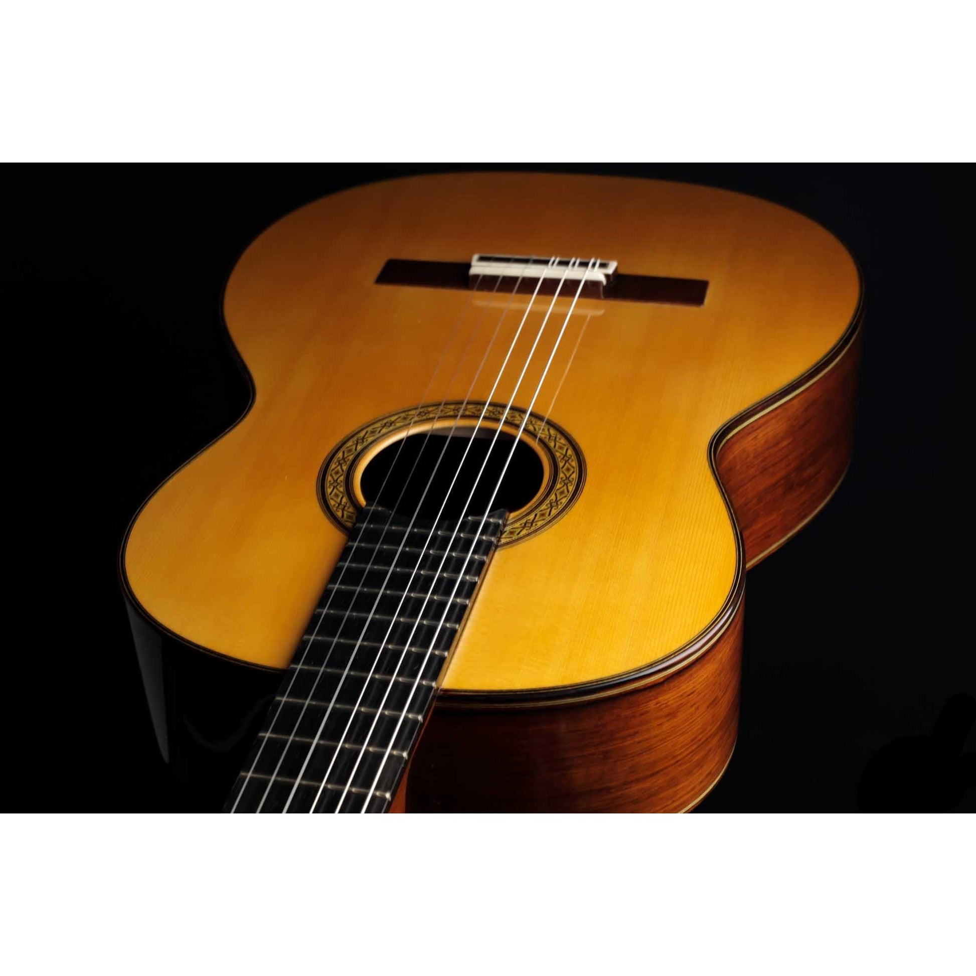 Đàn Guitar Classic Sakurai Kohno Professional J Spruce - Việt Music