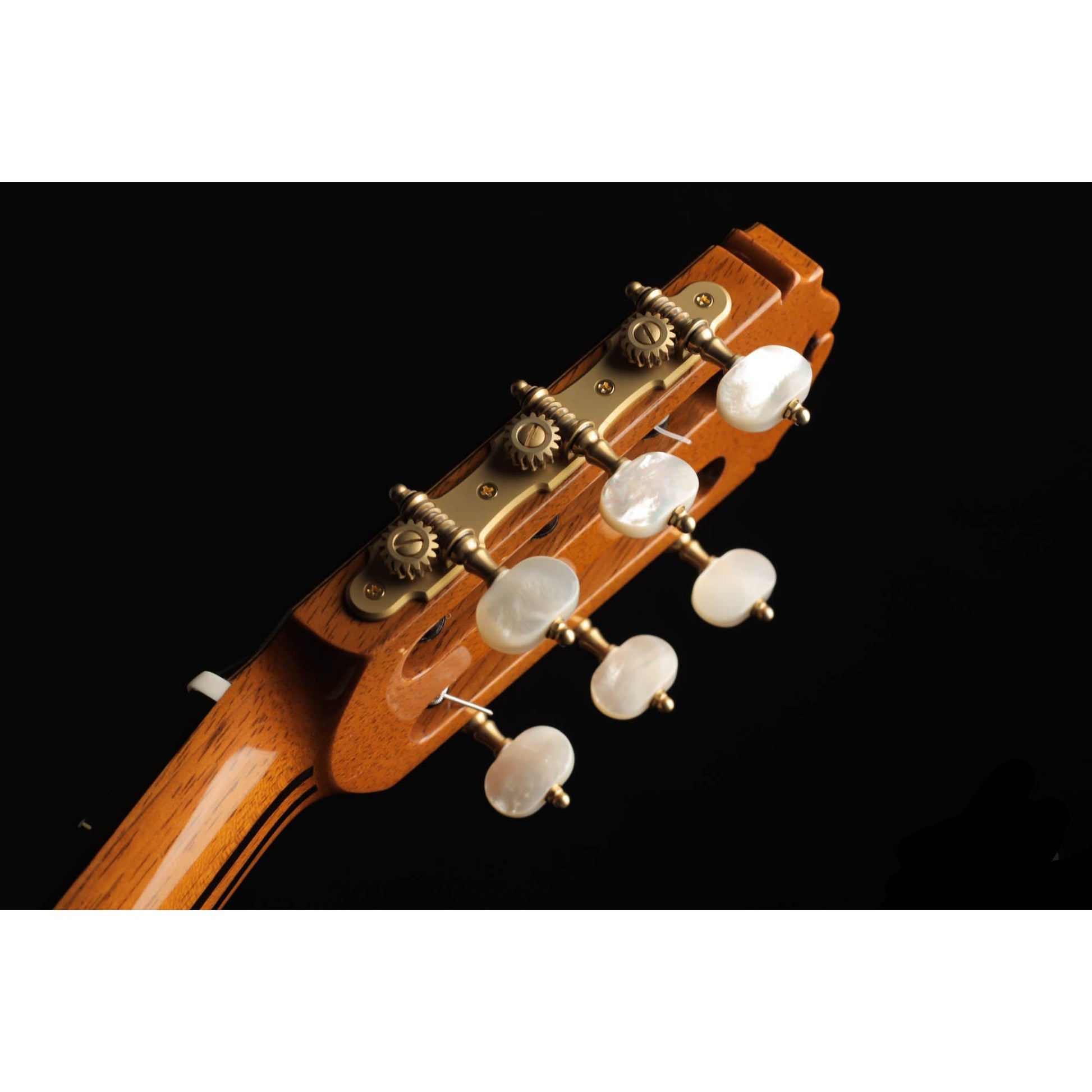 Đàn Guitar Classic Sakurai Kohno Special Cedar - Việt Music