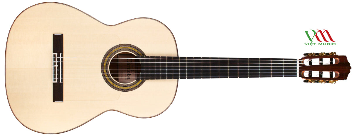 Đàn Guitar Tây Ban Nha Giá Bao Nhiêu?