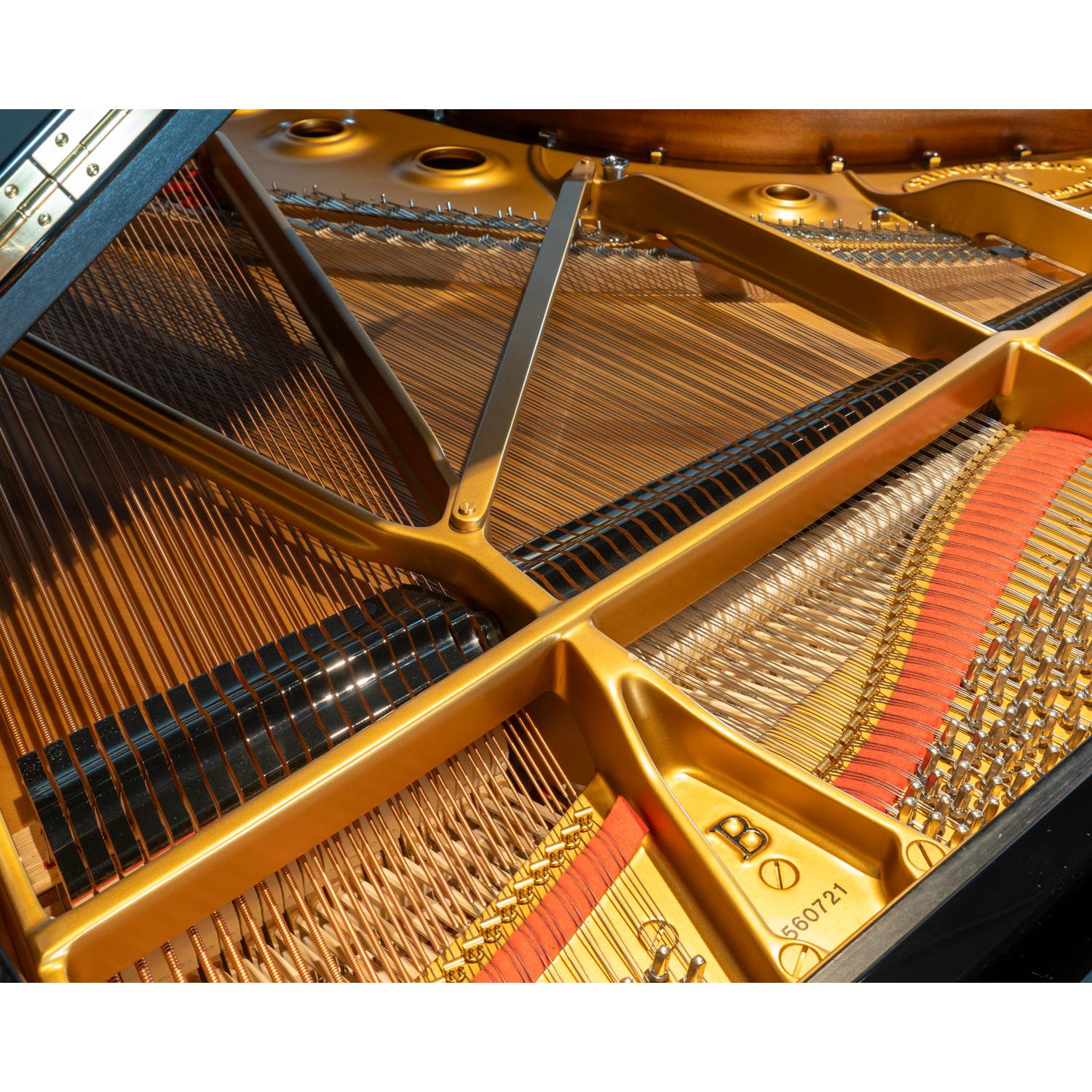Grand Piano Steinway & Sons B211 - Việt Music