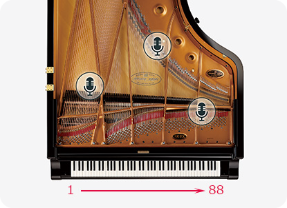 Đàn Piano Điện Kawai CN201